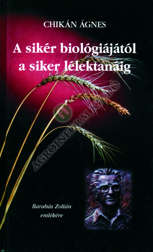 A sikér biológiájától a siker lélektanáig