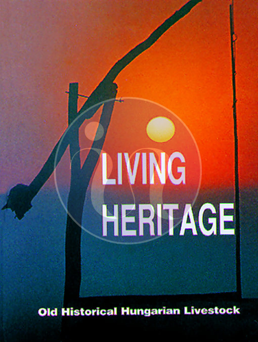 Living Heritage – Old Historical Hungarian Livestock