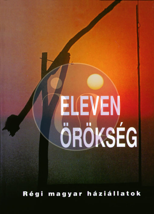 Eleven örökség — Régi magyar háziállatok
