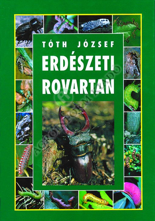 Erdészeti rovartan