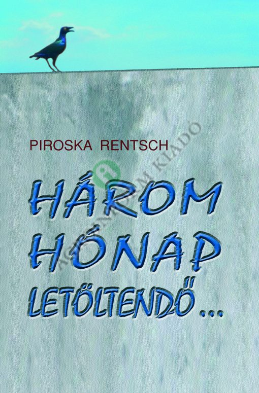Három hónap letöltendő...