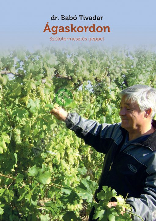 Ágaskordon – Szőlőtermesztés géppel