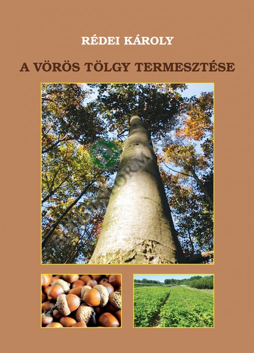 A vörös tölgy termesztése
