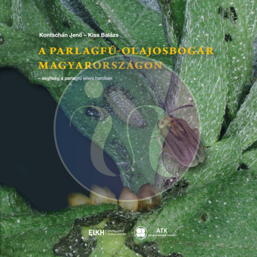 A parlagfű-olajosbogár (Kontschán-Kiss)