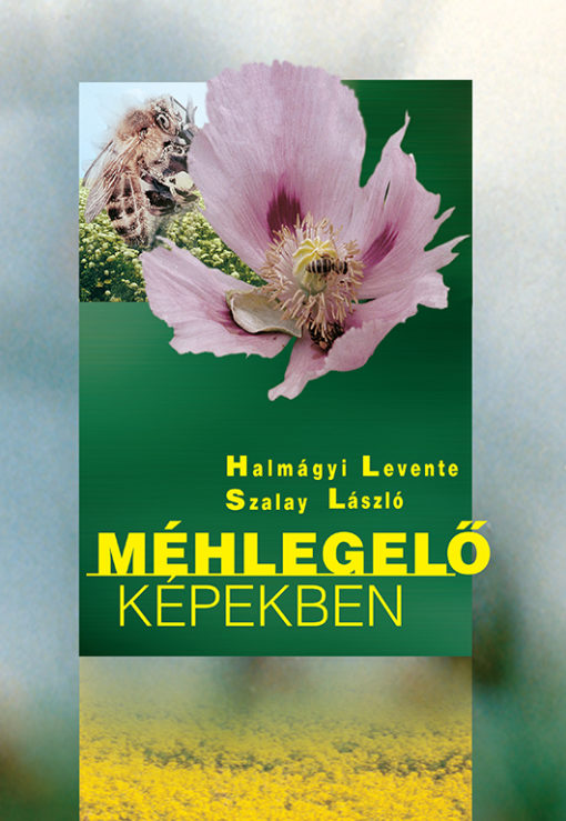 Méhlegelő képekben