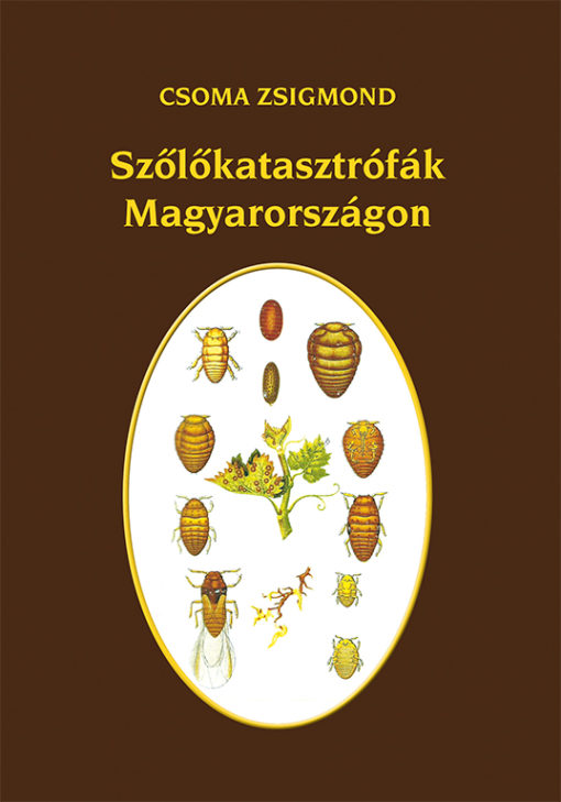 Szőlőkatasztrófák Magyarországon