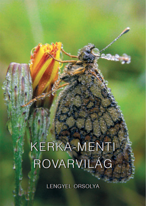 Kerka-menti rovarvilág