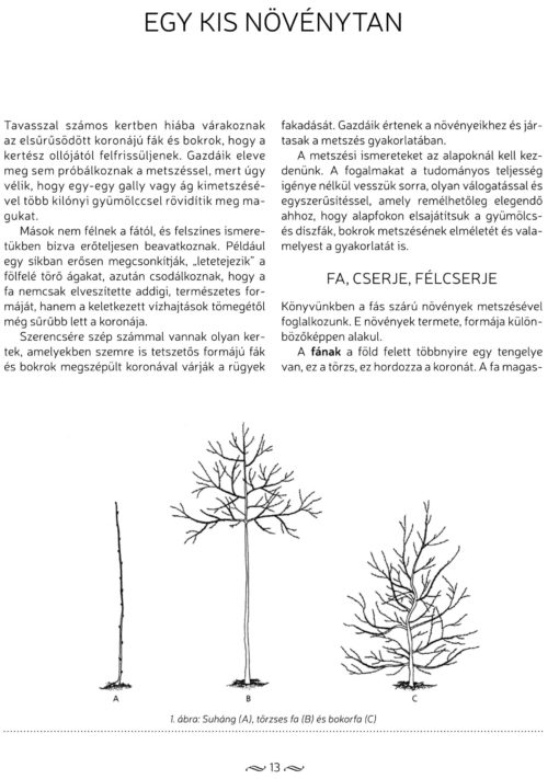 A metszés ábécéje - Image 2