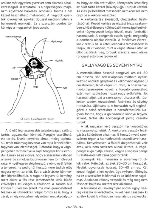 A metszés ábécéje - Image 3