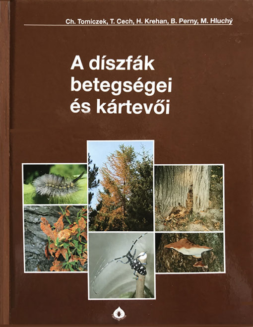 A díszfák betegségei és kártevői