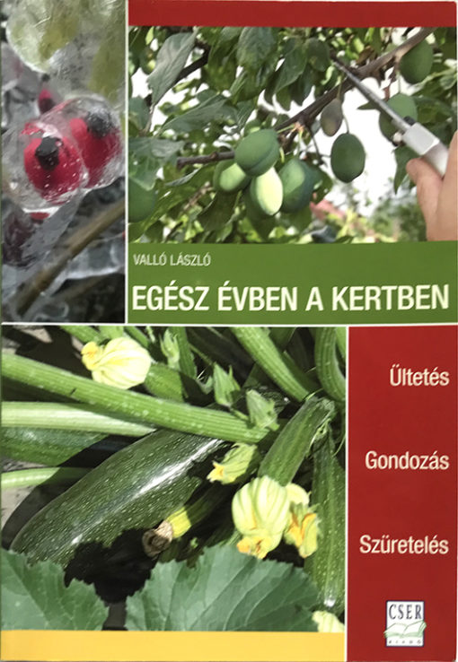 Egész évben a kertben