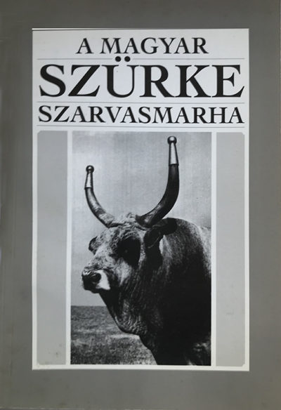 A magyar szürke szarvasmarha
